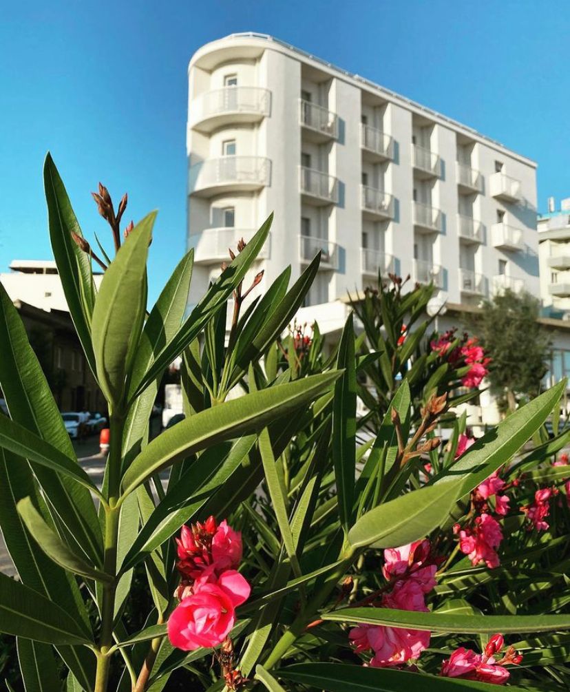 Promo Cattolica in Fiore - 1° Maggio